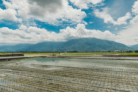 东Chishang市千山布朗大道美丽图片