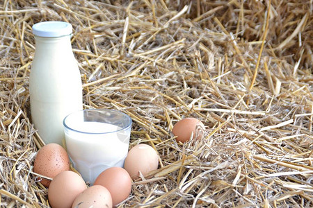 一瓶牛奶和一杯牛奶与稻草中的新鲜鸡蛋放在一起图片