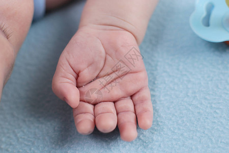 一个婴儿两个月大孩子手掌的宏观照片从图片