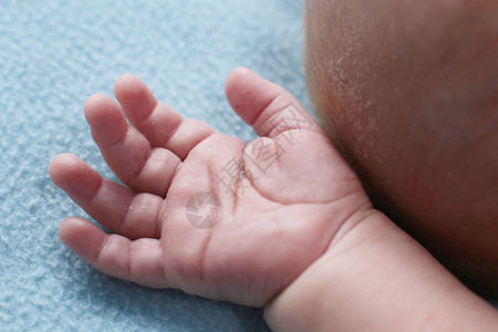 一个婴儿两个月大孩子手掌的宏观照片从背景图片