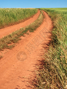 尘土和肮脏的拖拉机路在田野地景色图片