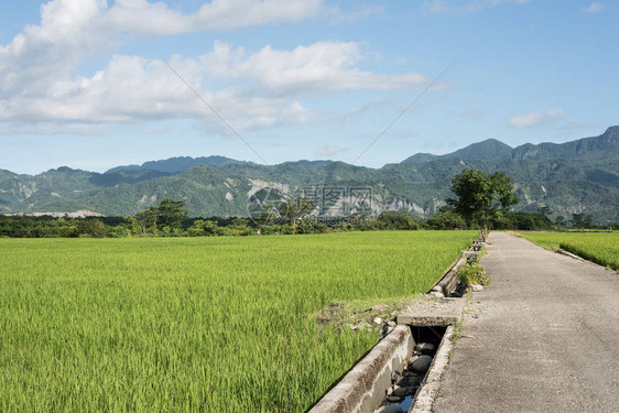 农场道路的乡村景观图片