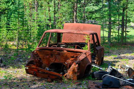 苏维埃汽车生锈的铁体在叶库提亚苔原的一个幼苗林中的树图片
