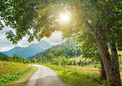 山地道路岩石覆盖的景观夏季一棵树上的阳光和一条沥青图片