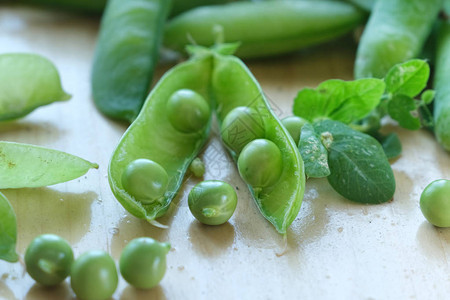 绿色新鲜豌豆和豌豆荚的美丽特写图片