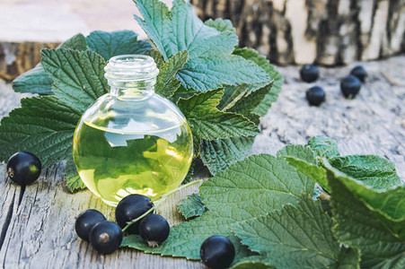 旧板背景上的一瓶黑醋栗提取物酊剂输液黑醋栗油特写图片素材