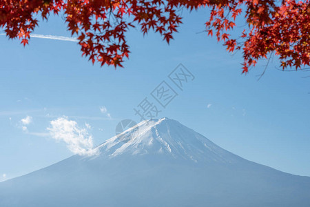 风景富士山和鲜红的枫叶框架河口湖早上是日本的旅游胜地图片