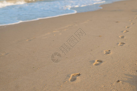 海边湿沙上孩子的脚印图片