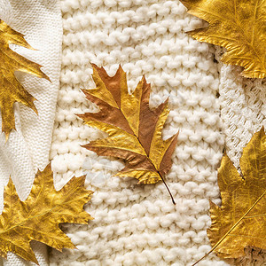 秋天背景与温暖的毛衣图片