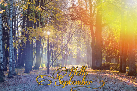 你好9月横幅新的一个月问候卡的秋天照片中的文字四季公园里的树城市公图片