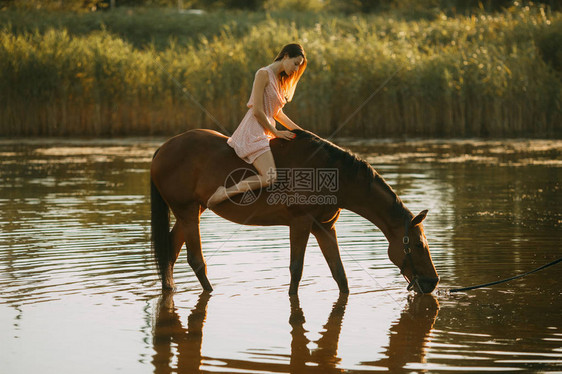 一位年轻女子坐在一匹从河里喝图片