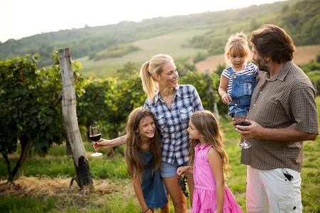 葡萄园收割前酒后家庭在葡萄图片