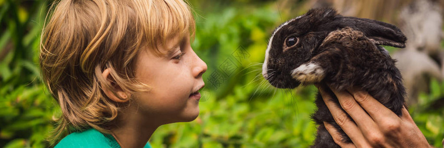 男孩喂对动物的化妆品测试无残忍和停止虐待动物的概念图片