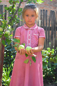 苹果园里拿着苹果的女孩子在果园里吃有机苹果收获概念花园图片