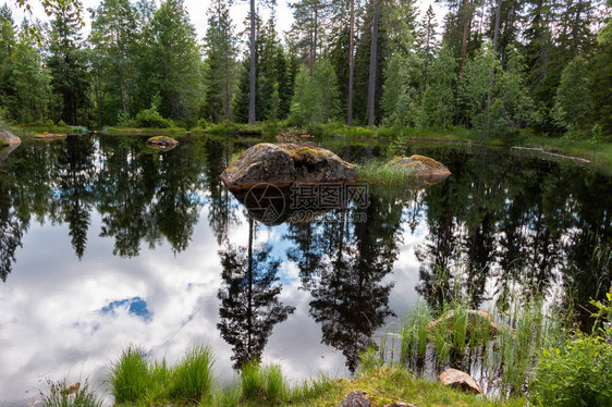 瑞典森林中的池塘图片