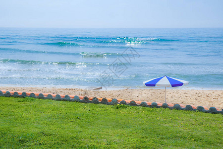 绿草和蓝色沙滩伞的大海和滩景观图片