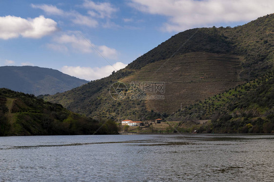 葡萄牙图阿村附近有一条传统的拉贝罗船和梯田葡萄园图片