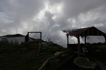 覆盖土耳其东北部Rize地区Gito高原的木屋和图片