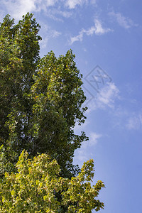 晴朗的天空上美丽的风景自然纹理图片