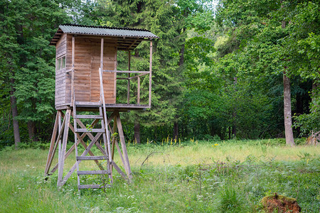 猎人在路边的森林里小屋猎人塔或荒野中的哨所猎人哨是一个木制结构图片