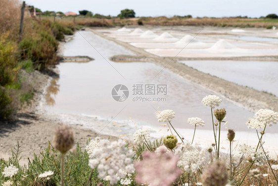 法国盐田中Noirmoutier岛的传统盐沼图片