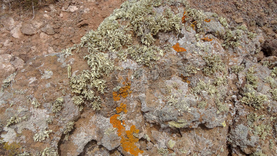 蒂明法亚公园的火山令人惊叹的自然风光和靠近曼恰布兰卡地方的城市通往火山的道路和图片