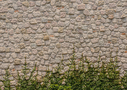 原状石墙表面与植物的背景图图片
