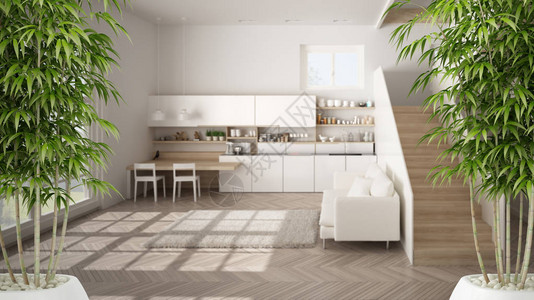 禅宗室内盆栽竹植物自然室内设计理念带楼梯的开放空间现代厨房客厅当代图片