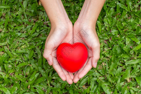手牵红心在草地上医疗保健捐赠和家庭保险概念世界心脏日世界卫生日企业社会责任概念图片
