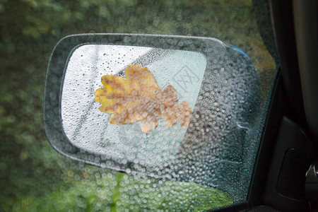 雨季秋天在户外关闭汽车的湿镜图片