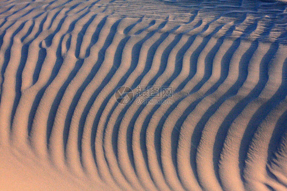 LencoisMaranhenses公园是巴西北大西洋沿岸的保护区它以其高大的白色沙丘和季节雨水泻湖的广阔沙漠景观而闻名Lago图片