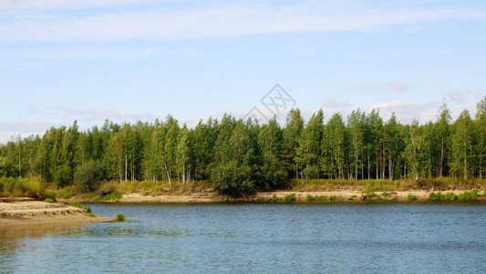 夏日的映衬着岸边的湖和木头图片
