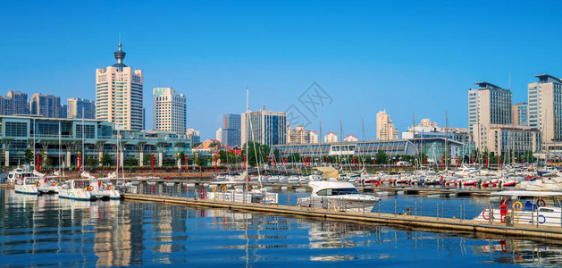 青岛湾游艇码头与城市建筑景观图片