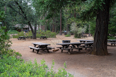 加利福尼亚州麦克阿瑟伯尼瀑布州立公园有桌和图片