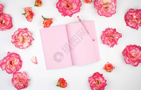 张开笔记本在白背景和粉红玫瑰花瓣上用图片