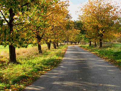 黄秋小巷路清凉的秋天和平风图片
