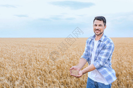 田间堆麦粒的男农图片