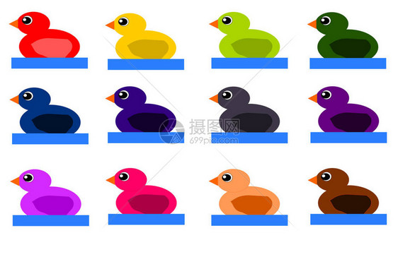十二只游泳的彩色鸭子一套十图片