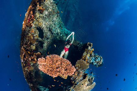 女自由潜水员在沉船游荡在残骸附近图片