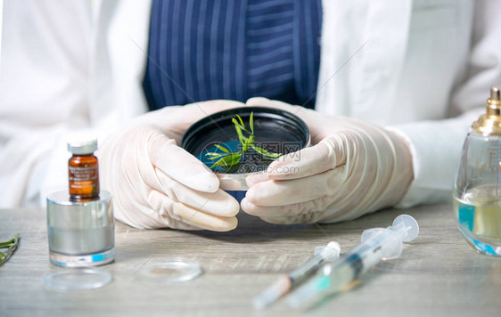 天然有机植物学和科学玻璃器皿替代草药天然护肤产品研发理念的生物图片
