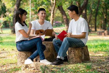 在大学或校公园的小组项目中学习的年轻学生团队快乐学习社区团队合作和图片