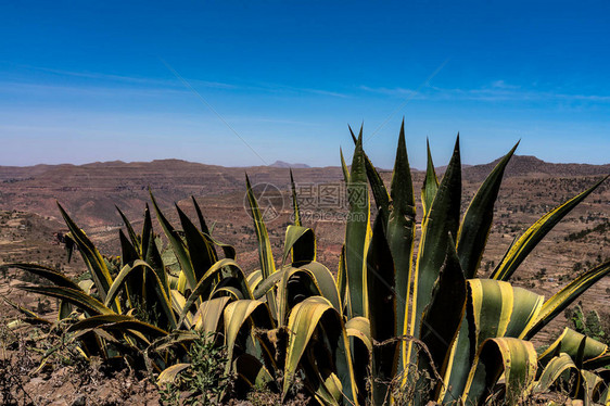 埃塞俄比亚北部提格雷的Gheralta地貌景观图片