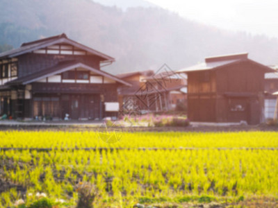 摘要模糊了日本白川果村的日本房屋和稻田的背景图片