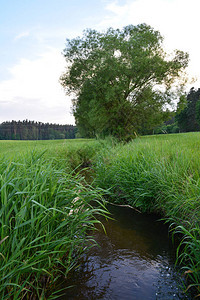 两片草地之间的一条小河图片