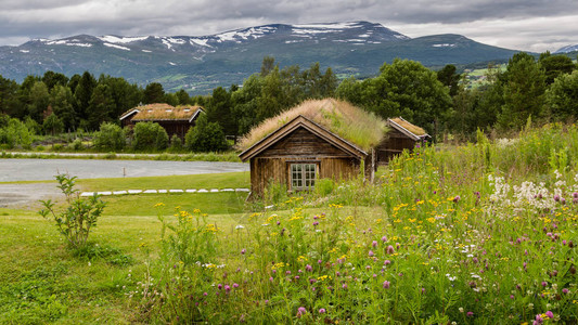 在挪威斯堪的纳维亚奥普达尔有屋顶覆盖草植物和鲜花的传统图片