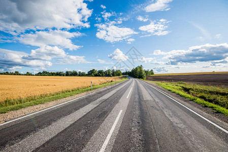 一条穿越田地的沥青乡村公路图片