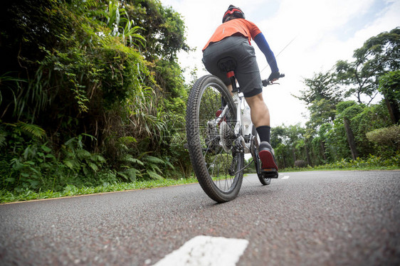 在热带雨林小径上骑山地自行车的图片