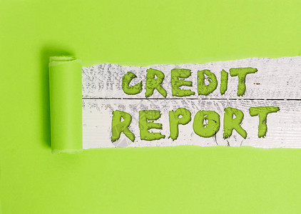 文字书写文本信用报告展示借款说唱表账单和会费支付分数债务历图片