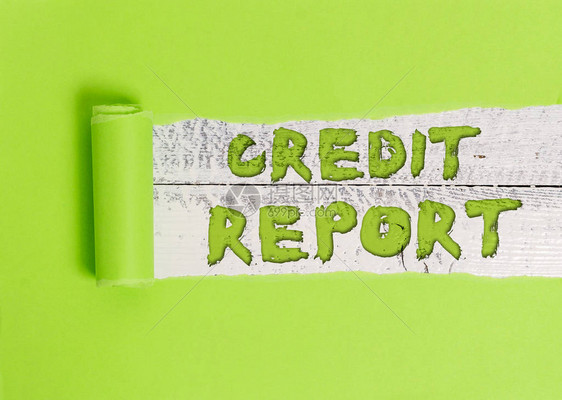 文字书写文本信用报告展示借款说唱表账单和会费支付分数债务历图片