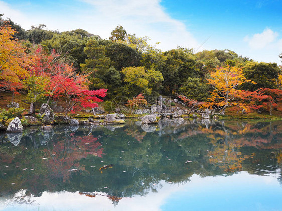 日本京都Tenryuji寺庙花园图片